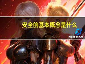 安全的基本概念是什么