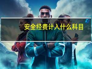 安全经费计入什么科目