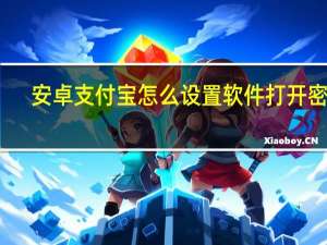 安卓支付宝怎么设置软件打开密码