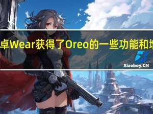 安卓Wear获得了Oreo的一些功能和增强功能