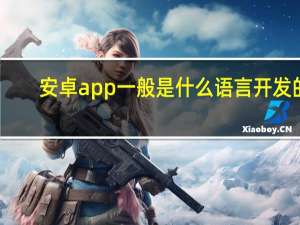 安卓app一般是什么语言开发的
