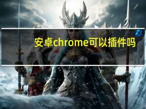 安卓chrome可以插件吗