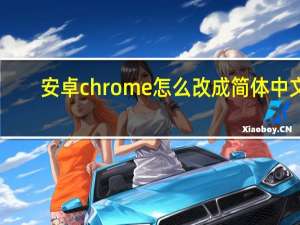 安卓chrome怎么改成简体中文