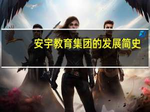 安宇教育集团的发展简史