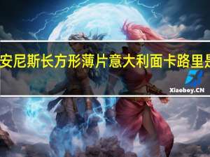 安尼斯 长方形薄片意大利面卡路里是多少