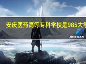 安庆医药高等专科学校是985大学吗