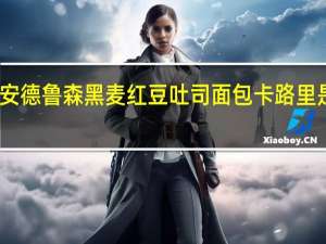 安德鲁 森黑麦红豆吐司面包卡路里是多少