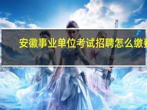 安徽事业单位考试招聘怎么缴费
