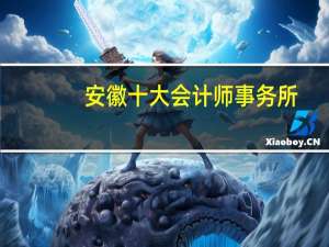 安徽十大会计师事务所