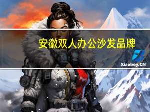 安徽双人办公沙发品牌