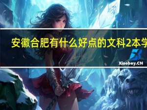 安徽合肥有什么好点的文科2本学校