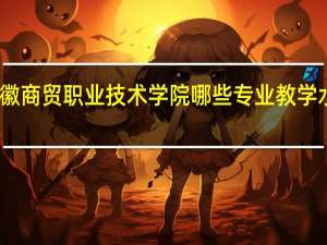 安徽商贸职业技术学院哪些专业教学水平较高