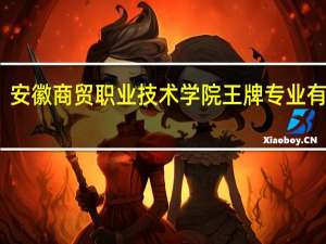 安徽商贸职业技术学院王牌专业有哪些