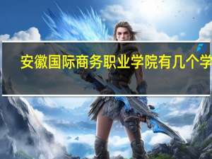 安徽国际商务职业学院有几个学院