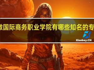 安徽国际商务职业学院有哪些知名的专业和学科