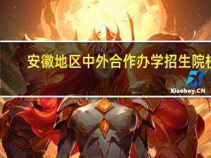 安徽地区中外合作办学招生院校