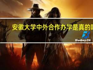安徽大学中外合作办学是真的吗