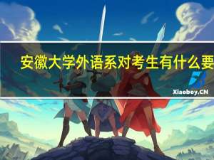 安徽大学外语系对考生有什么要求