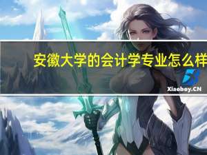 安徽大学的会计学专业怎么样