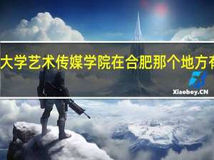安徽大学艺术传媒学院在合肥那个地方有几个校区