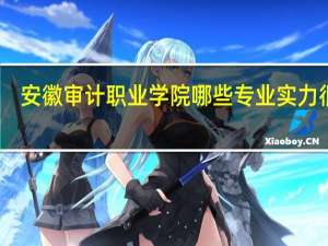 安徽审计职业学院哪些专业实力很强