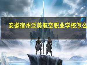 安徽宿州泛美航空职业学校怎么样