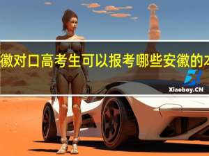 安徽对口高考生可以报考哪些安徽的本科大学