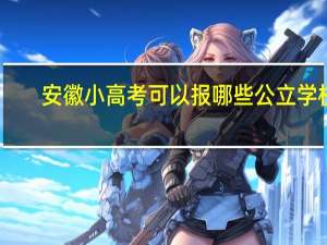 安徽小高考可以报哪些公立学校