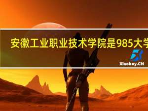 安徽工业职业技术学院是985大学吗