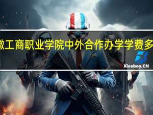 安徽工商职业学院中外合作办学学费多少钱一年