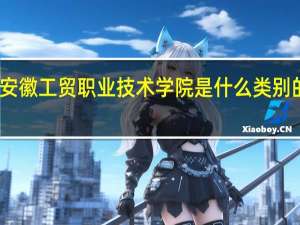 安徽工贸职业技术学院是什么类别的学校