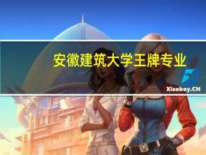 安徽建筑大学王牌专业