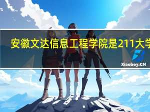安徽文达信息工程学院是211大学吗