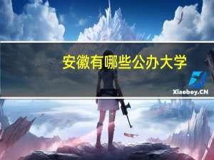 安徽有哪些公办大学