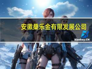 安徽桑乐金有限发展公司(关于安徽桑乐金有限发展公司简述)