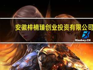 安徽梓楠臻创业投资有限公司(关于安徽梓楠臻创业投资有限公司简述)