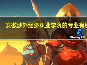 安徽涉外经济职业学院的专业有哪些