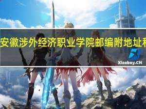 安徽涉外经济职业学院邮编 附地址和介绍