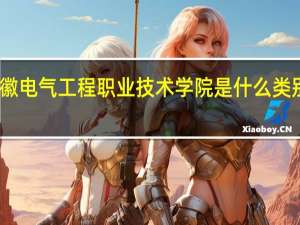 安徽电气工程职业技术学院是什么类别的学校