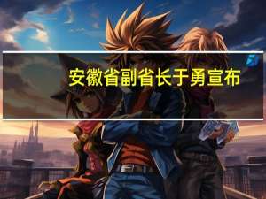 安徽省副省长于勇宣布