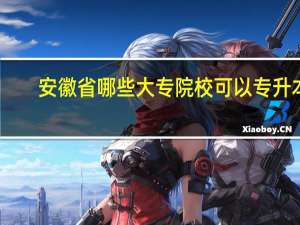 安徽省哪些大专院校可以专升本