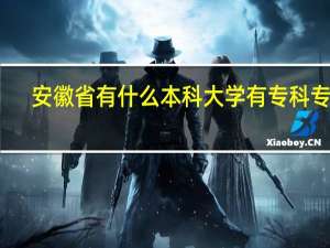 安徽省有什么本科大学有专科专业