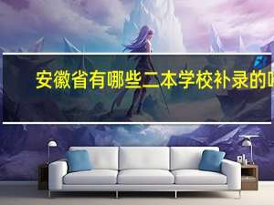 安徽省有哪些二本学校补录的吗