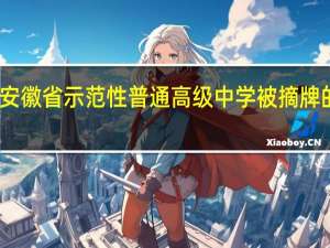 安徽省示范性普通高级中学被摘牌的学校