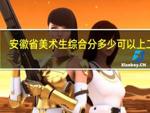 安徽省美术生综合分多少可以上二本