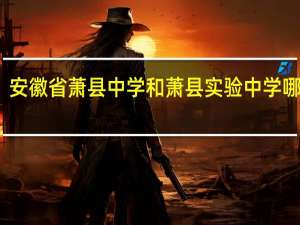 安徽省萧县中学和萧县实验中学哪个好，急急急10