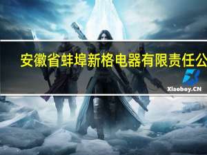 安徽省蚌埠新格电器有限责任公司(关于安徽省蚌埠新格电器有限责任公司简述)