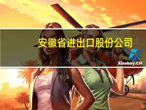 安徽省进出口股份公司（安徽进出口股份有限公司简介）