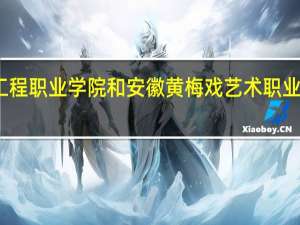 安徽粮食工程职业学院和安徽黄梅戏艺术职业学院的专业对比