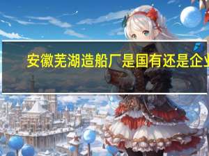 安徽芜湖造船厂是国有还是企业